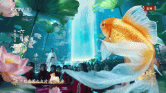 <b>将Seedance2.0原始生成的720P画面提拔至8K级</b>